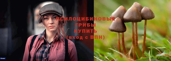jwh Козельск