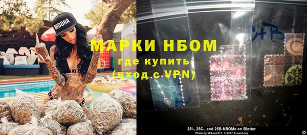 крисы Козловка