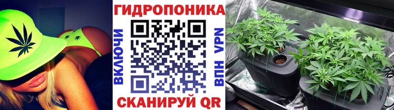 Шишки марихуана MAZAR  Купить где  Улан-Удэ 